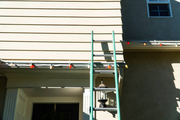 Best Residential Vinyl Siding Installation  in Parkway, CA